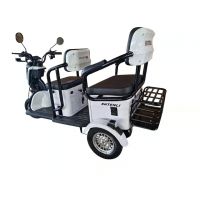 Электрический трицикл Shtenli Model 37 SLA 60V/20а