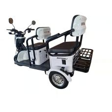 Электрический трицикл Shtenli Model 37 SLA 60V/20а