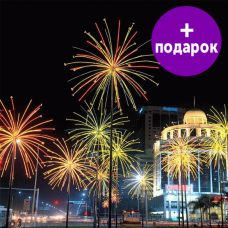 Уличная светодиодная конструкция Rich led "САЛЮТ" LED-EM-002