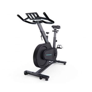 Велотренажер DFC OVICX B-Q200B